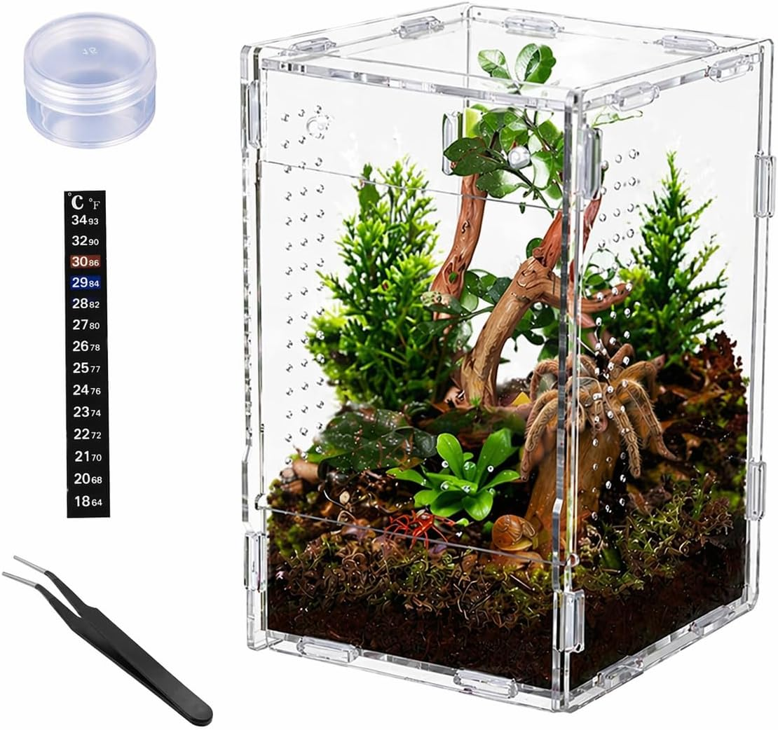 Clear acrylic jumping spider enclosure with plants, branches, and substrate